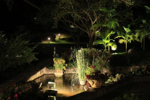 a garden with a fountain in a pond at night at Auberge Suisse Pousada in Nova Friburgo