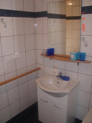 a bathroom with a sink and a mirror at Apartmaji Sparakel in Bled