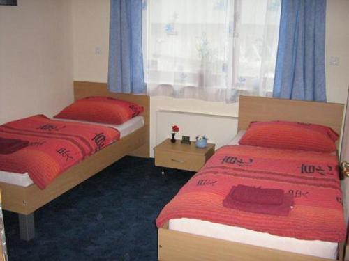 Postel nebo postele na pokoji v ubytování Apartmaji Sparakel