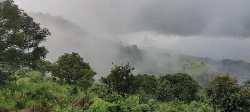 a foggy hillside with trees and clouds in the background at Hilltop Resort and Glamping Wai, Near Panchgani in Wai