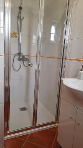 a shower with a glass door next to a sink at Apimonte Casa do Pascoal - PN Montesinho in Bragança