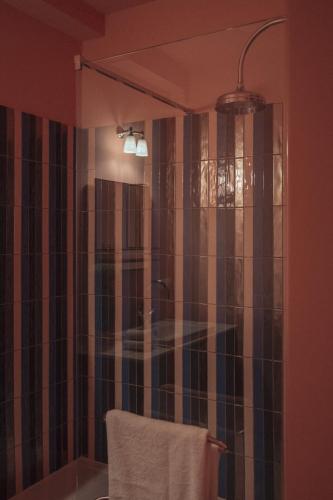 a bathroom with a shower with a mirror and a towel at Flora in Antwerp