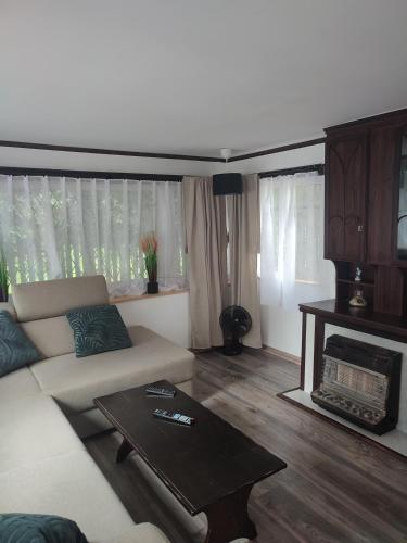 a living room with a couch and a fireplace at Domek MatDar in Mikołajki