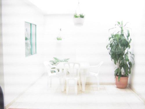 a dining room with two chairs and a table with plants at Hotel Arpa de Aguas in Villavicencio