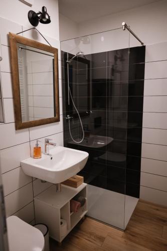 une salle de bain avec un lavabo et une douche avec un miroir dans l'établissement Green View Studio, à Bovec