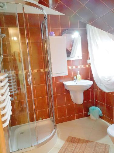 a bathroom with a shower and a sink at Willa Ewa in Poronin