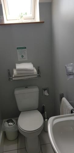 a bathroom with a toilet and a sink and a window at Craigbank Guest House in Crianlarich