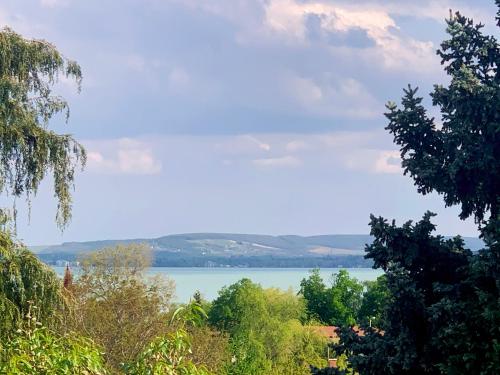 Ari Villa Révfülöp 8253 Révfülöp, Révfülöp Óvoda u 21. kép - 3