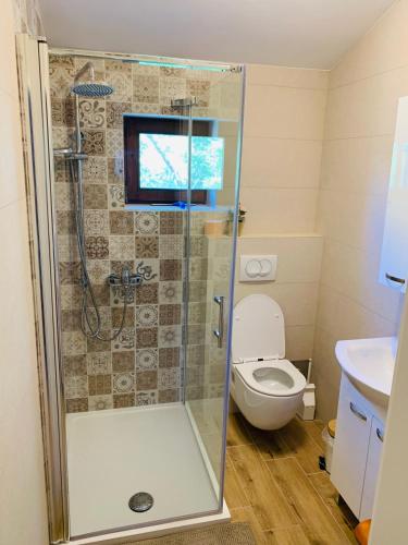 a bathroom with a shower and a toilet at Apartment Murvica in Pag