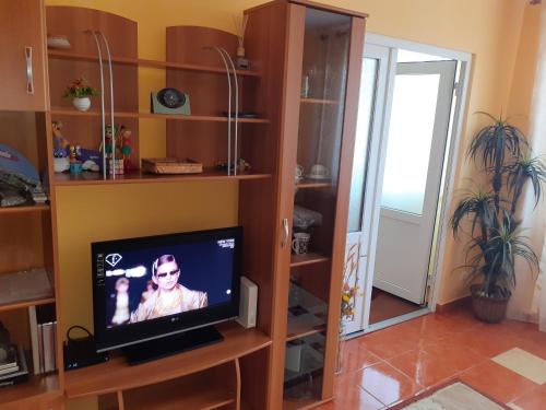 En tv och/eller ett underhållningssystem på Apartament Gabriela