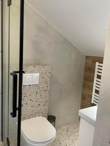 Bilik mandi di Izabelės apartamentai