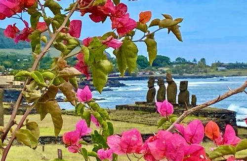 a tree with pink flowers in front of a body of water at Kahina Lodge in Hanga Roa