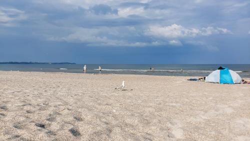 Afbeelding uit fotogalerij van Ferienhaus Imke Breege in Breege
