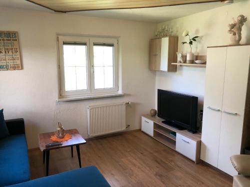 Ferienwohnung Tirol في لاندك: غرفة معيشة مع أريكة وتلفزيون