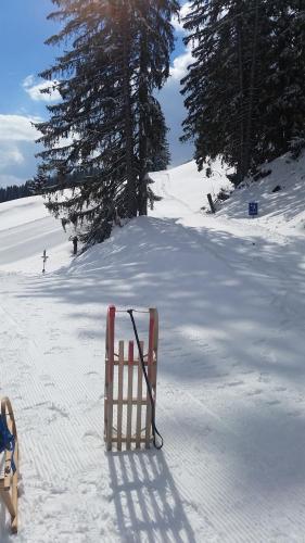 a gate in the snow with trees in the background at Hotel Garni Malerwinkl in Bad Hindelang