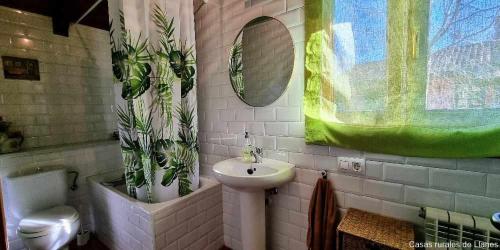 ein Badezimmer mit einem Waschbecken und Topfpflanzen an der Wand in der Unterkunft Casa Vacacional El Alberu in La Borbolla