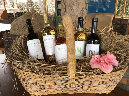 Fotografie z fotogalerie ubytování Ecolodge Kasa D'Igreja v destinaci Chã da Igreja