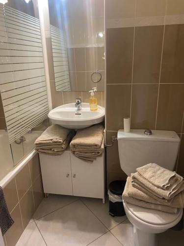 ein Badezimmer mit einem Waschbecken, einem WC und einem Spiegel in der Unterkunft Appartement La Baule;Pornichet in La Baule