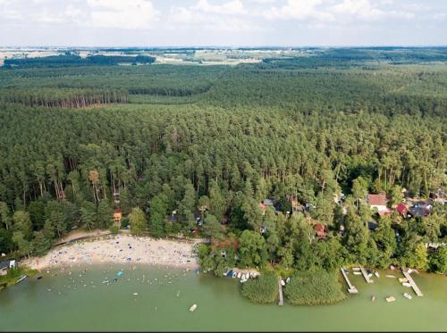 uma vista aérea de um lago com um grupo de árvores em Agroturystyka TWÓJ KĄCIK em Kurzetnik