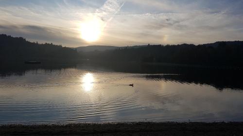 a duck swimming in a lake with the sun setting at Mazamet : Résidence du Musée centre ville. in Mazamet