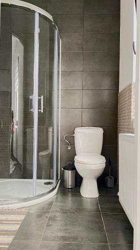 een badkamer met een toilet en een douche bij Apartament linistit / Cozy apartment in Câmpulung Moldovenesc