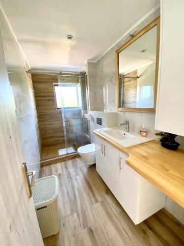 a bathroom with a sink and a toilet and a mirror at Loft House Zante in Argassi