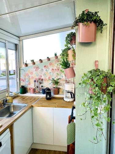 Una cocina o cocineta en L'Étoile Des Sables - Maison de ville climatisée classée 4 étoiles - 4 personnes - Plage de la Grande Conche à 200m - ROYAN