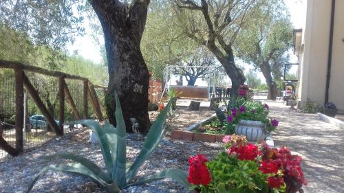 Oasi Petrus Cilento B&B