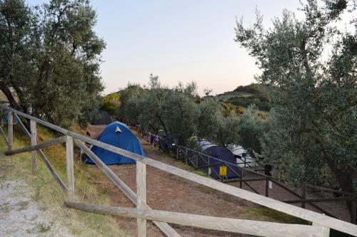 Fotografie z fotogalerie ubytování Blucamp Natural Village v destinaci Campiglia Marittima