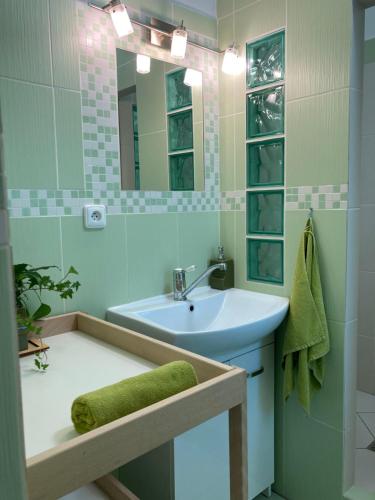 a bathroom with a sink and a bath tub at Apartmán U Jakuba in Dvůr Králové nad Labem
