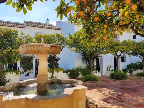 a fountain in a courtyard with an orange tree at Donalolaplaya in Mijas Costa