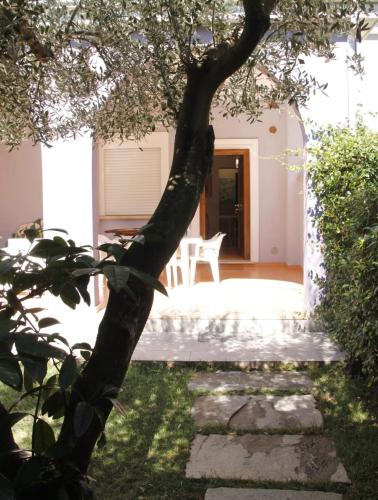 a tree in the yard of a house at Villa Margot in Agropoli