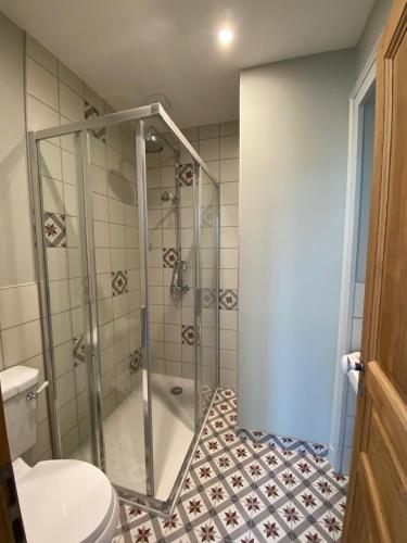 une salle de bain avec douche et toilettes dans l'établissement Gîte de Myans, à Myans