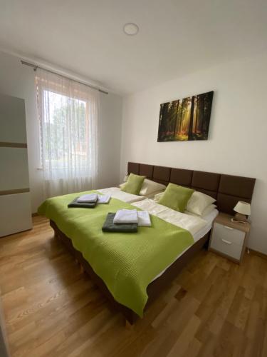 - une chambre dotée d'un grand lit avec des draps verts dans l'établissement Apartamenty Pod Rudką Czarna Góra Agroturystyka, à Sienna