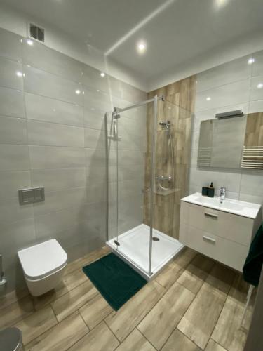 A bathroom at Apartamenty Pod Rudką Czarna Góra Agroturystyka