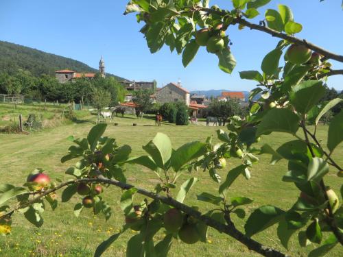 Φωτογραφία από το άλμπουμ του Casa da Roncha σε Noya