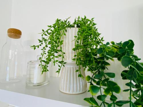 a white vase with a plant on a shelf at L'instant présent - Petite vue mer in Villers-sur-Mer