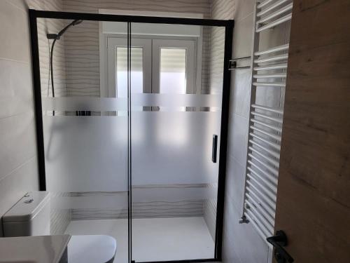 a glass shower in a bathroom with a toilet at La casa de Las Navas in Las Navas del Marqués