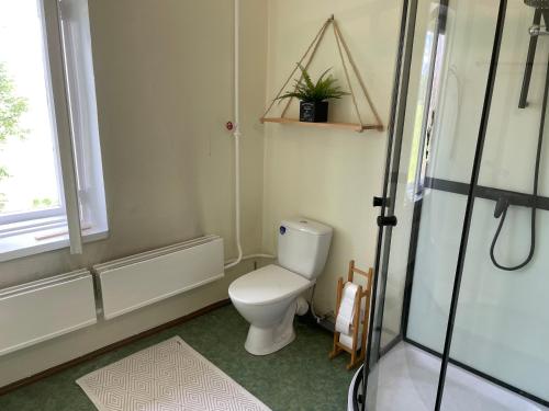 a bathroom with a toilet and a shower at Cozy space with a workplace in Võru