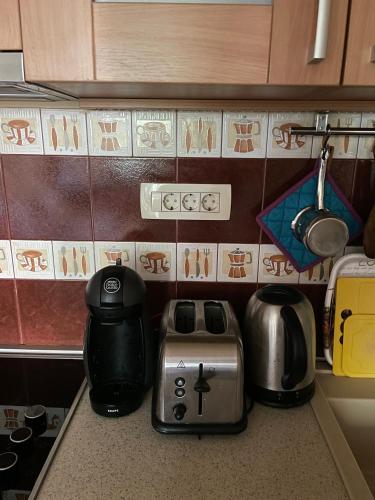 Η κουζίνα ή μικρή κουζίνα στο Apartment Ljiljana