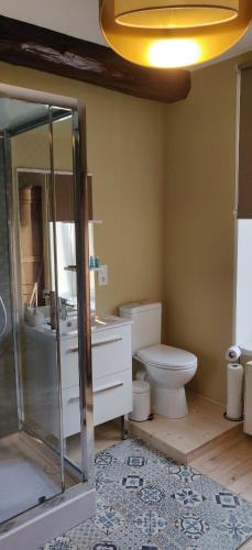 une salle de bain avec toilettes et douche en verre dans l'établissement L'Arche d' Engel, à Courpière