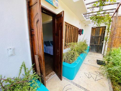 an open door of a house with potted plants at CABO BOHEMIA Tropical Garden Studios in Cabo San Lucas