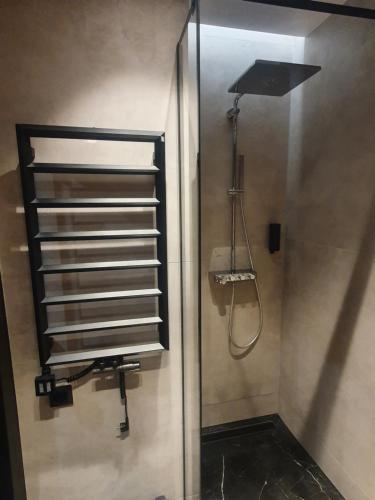 a shower in a bathroom with a shower at Apartament Szyndzielnia in Bielsko-Biała
