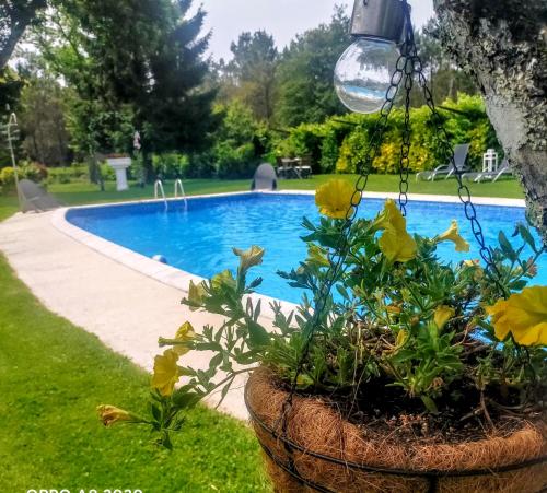 een potplant met gele bloemen naast een zwembad bij Casa Rustica Neiro in Santiago de Compostela