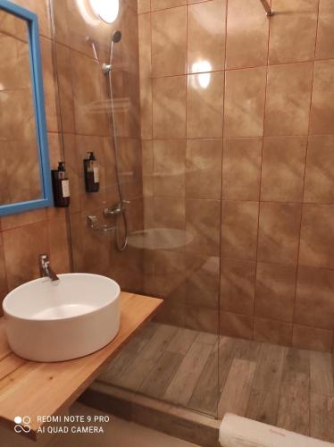 a bathroom with a sink and a shower at Hotel Sunrise in Crisan