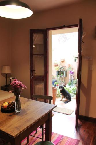 a dog sitting on the floor in front of a door at Apartamento en el vivero in Tilcara