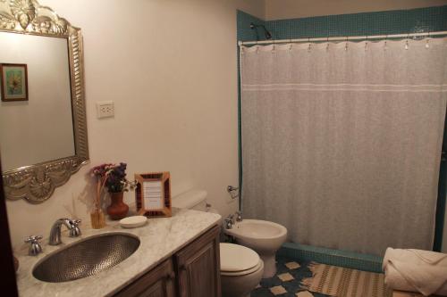 a bathroom with a sink and a toilet and a shower at Apartamento en el vivero in Tilcara