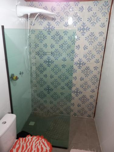a bathroom with a shower with a green and white wall at Pousada Chalé na Roça Penedo in Penedo