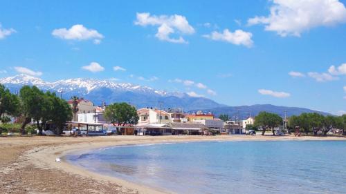 a view of a beach with mountains in the background at Apartmets Flisvos in Kalyves