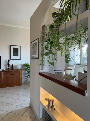 una hall con piante appese al muro di Casa Italia Hospitality a Lunghezza